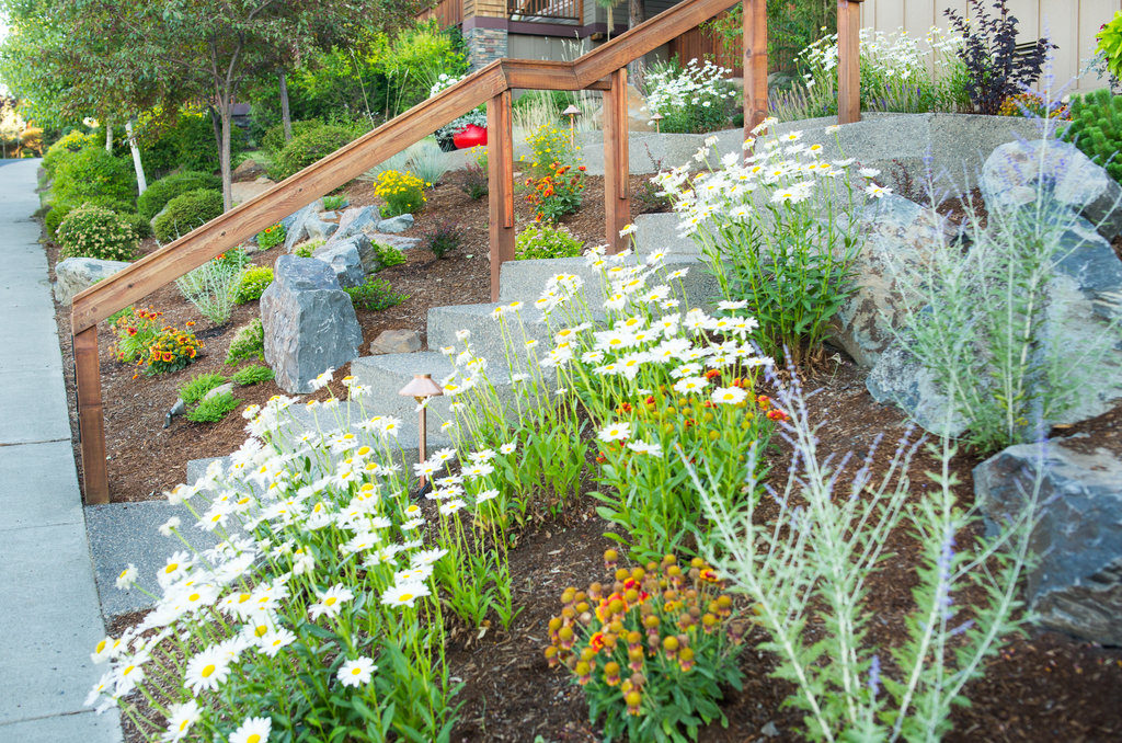 Awbrey Butte Xeriscape After