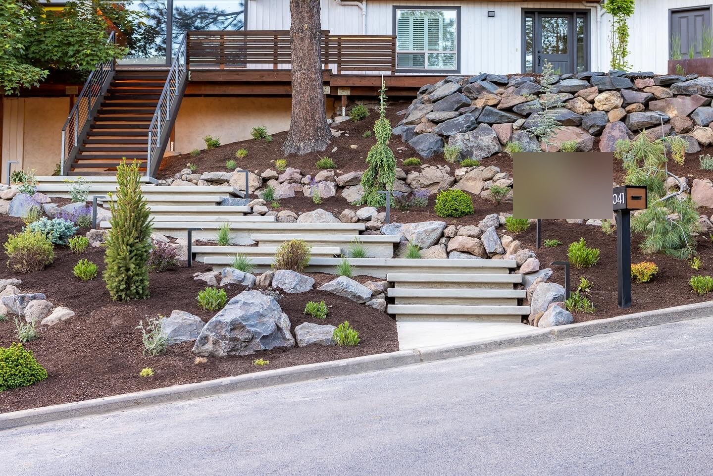 Finished boulder terracing with native plantings and concrete steps