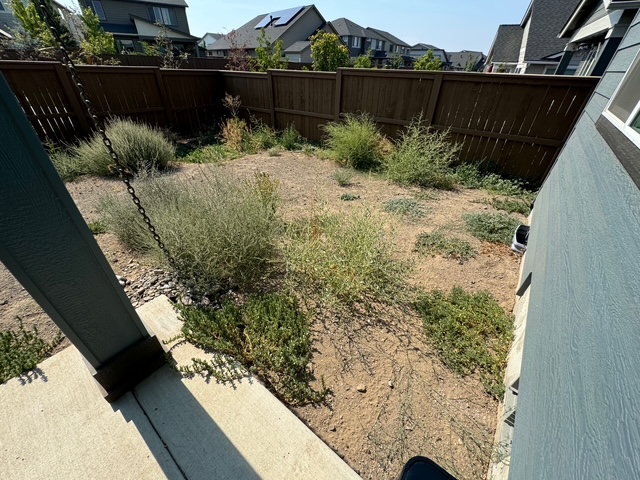 Weedy gravel backyard before landscaping — Petrosa NE Bend